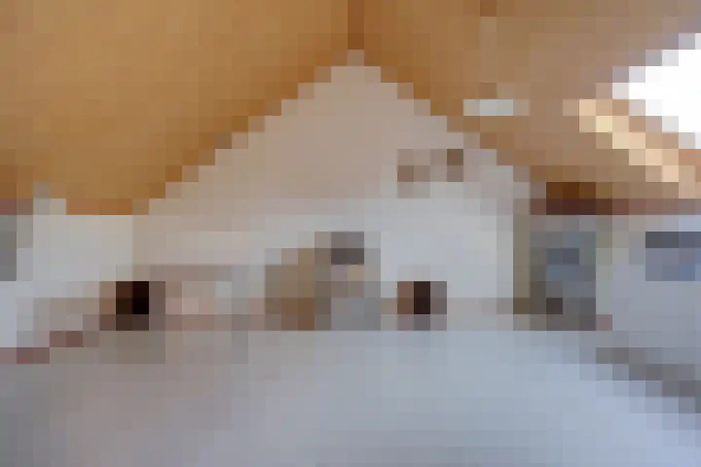 Schoenerkade 19 Zoetermeer thumbnail 25