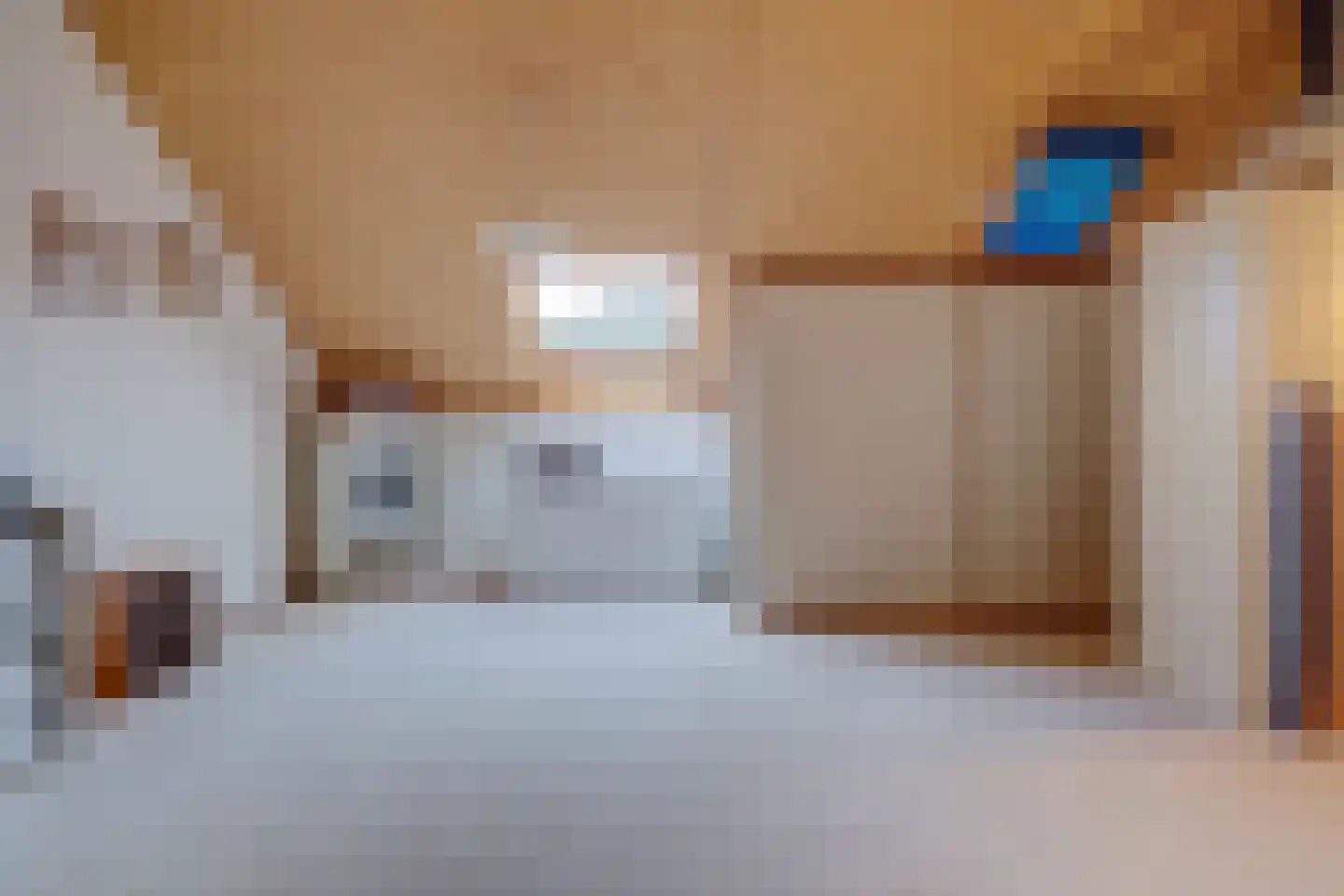 Schoenerkade 19 Zoetermeer thumbnail 26