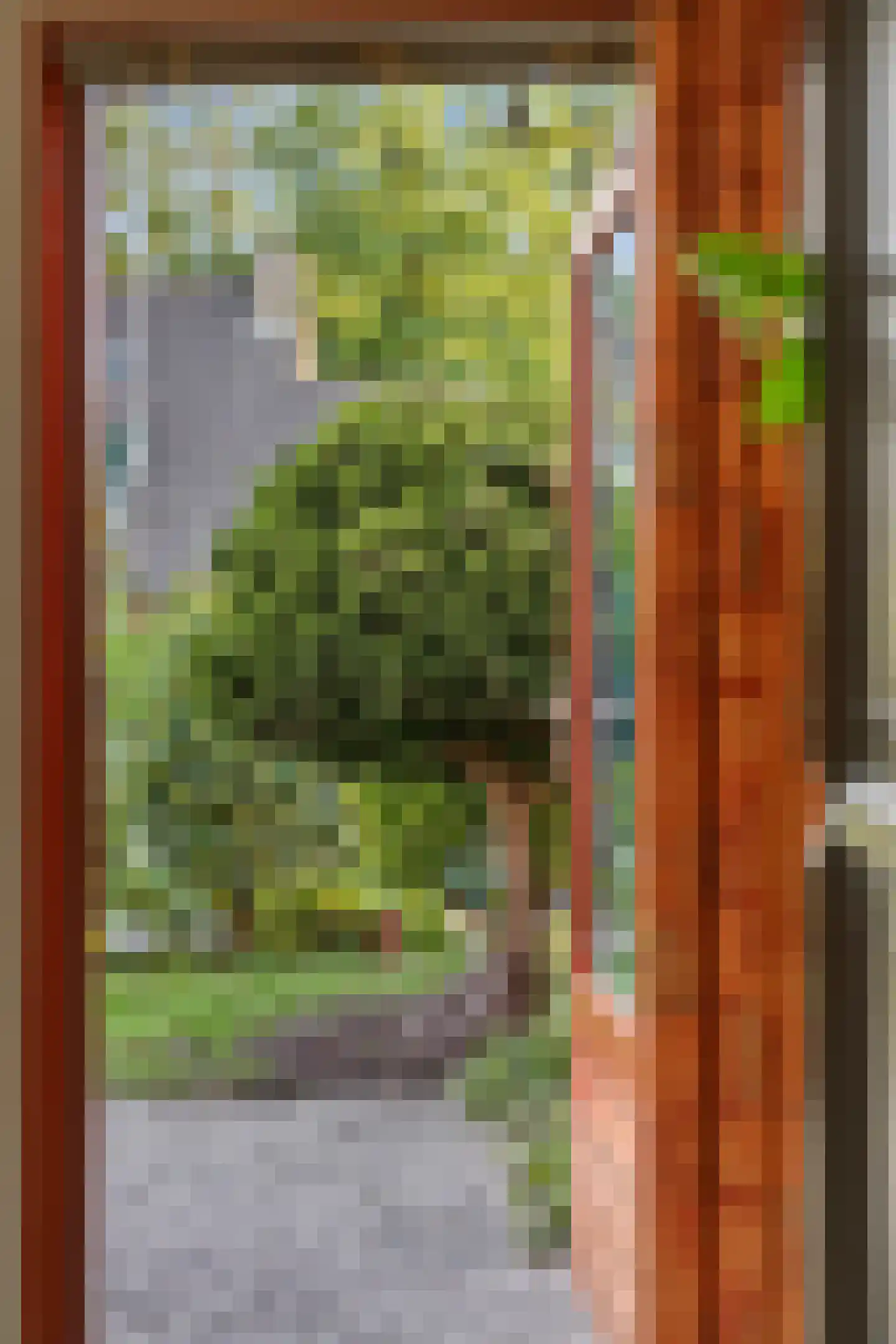 Schoenerkade 19 Zoetermeer thumbnail 29
