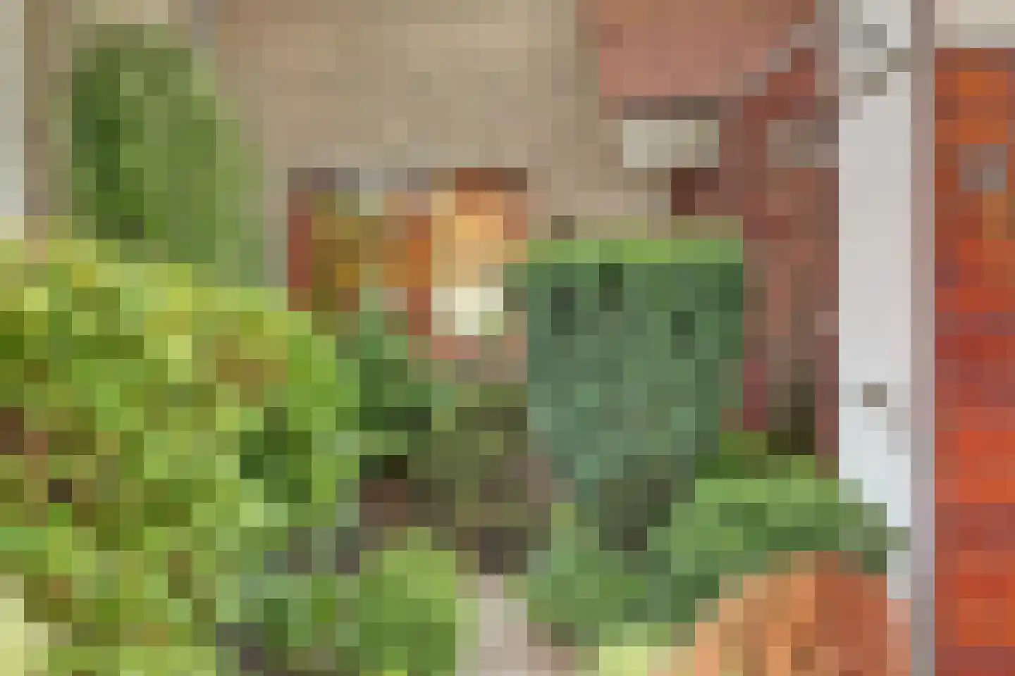 Schoenerkade 19 Zoetermeer thumbnail 6