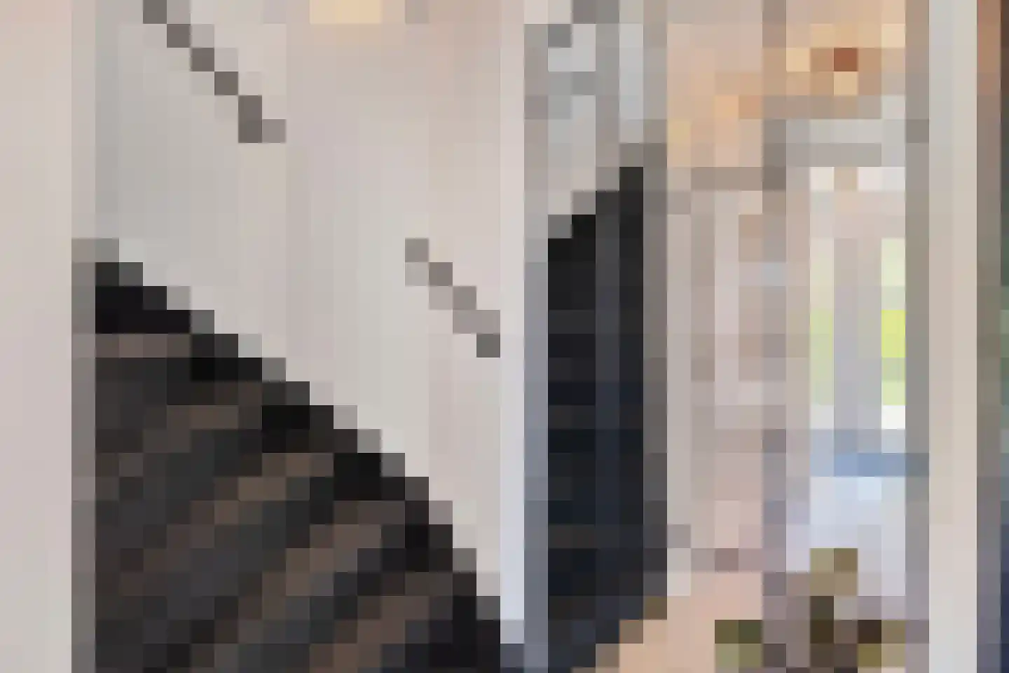 Schoenerstraat 11 Den Helder thumbnail 16