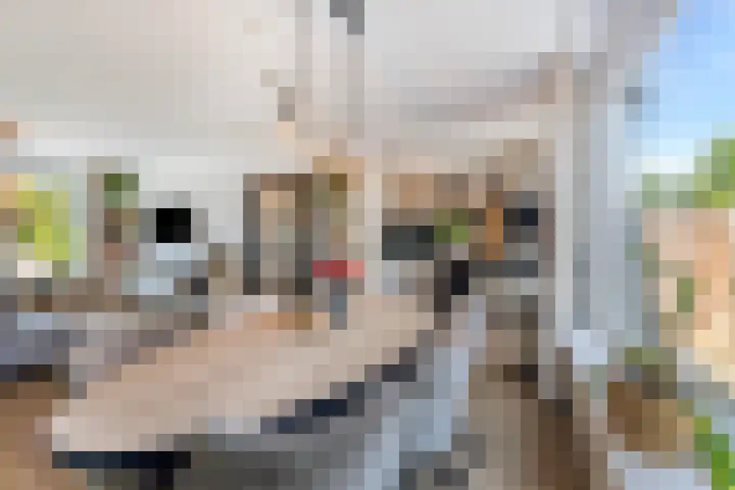 Schoenerstraat 11 Den Helder thumbnail 8