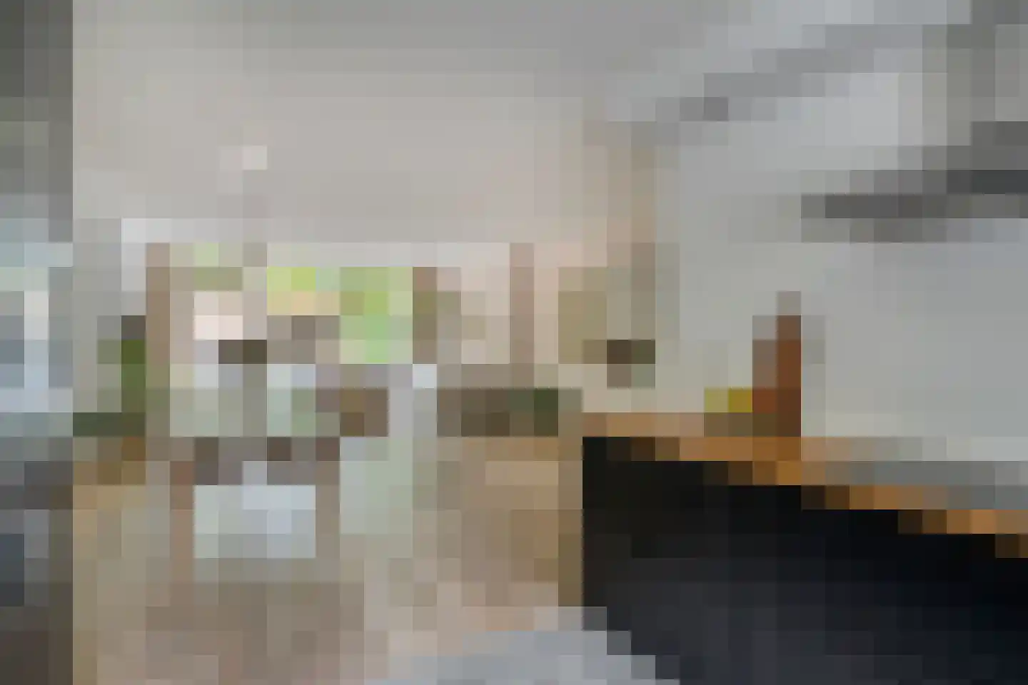 Schoenerstraat 11 's-Hertogenbosch thumbnail 12