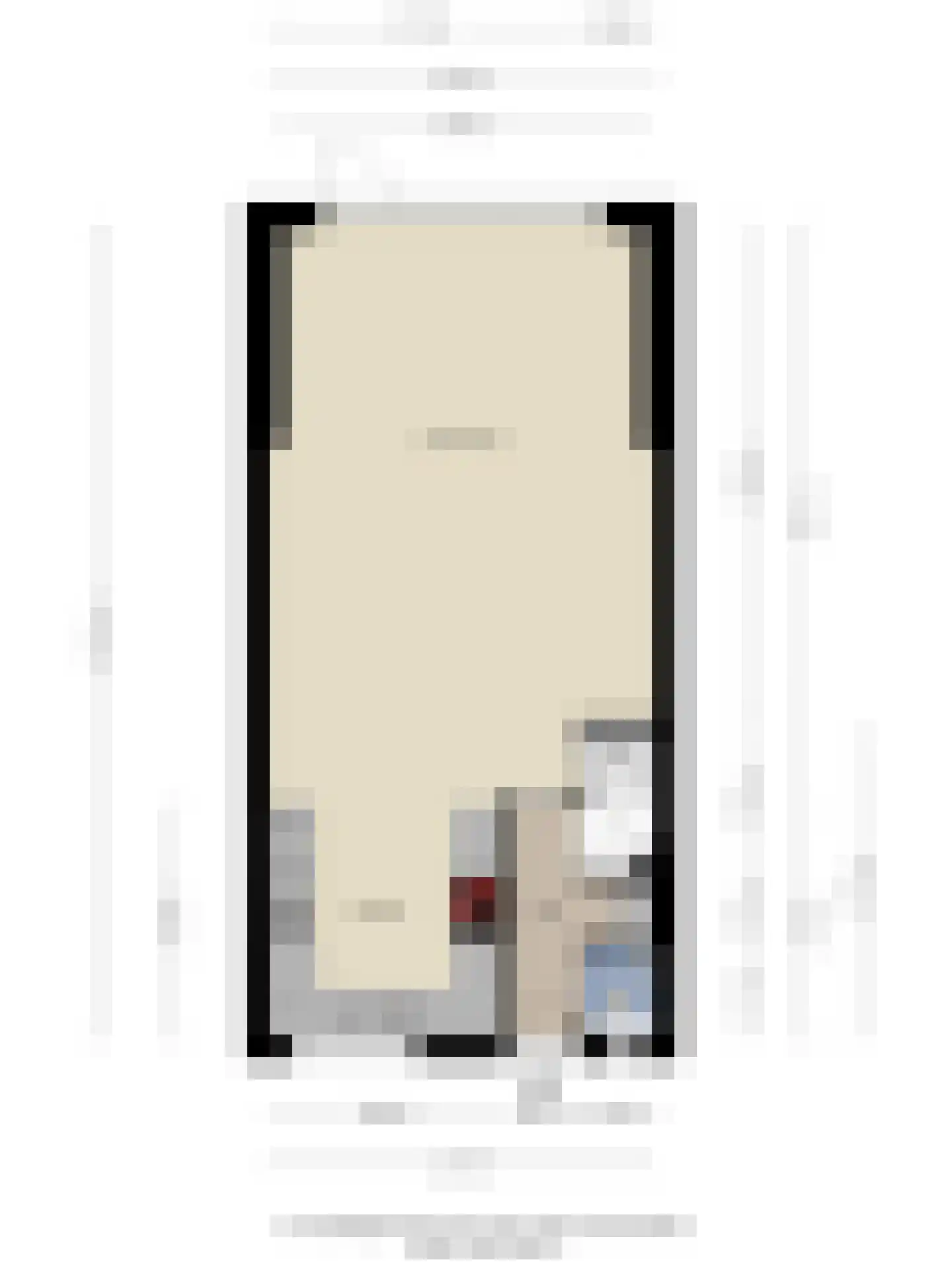 Schoenerstraat 11 's-Hertogenbosch thumbnail 26