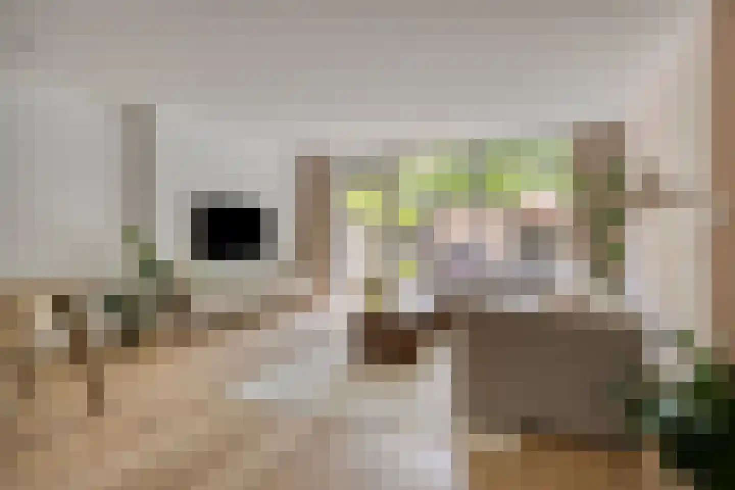 Schoenerstraat 11 's-Hertogenbosch thumbnail 4