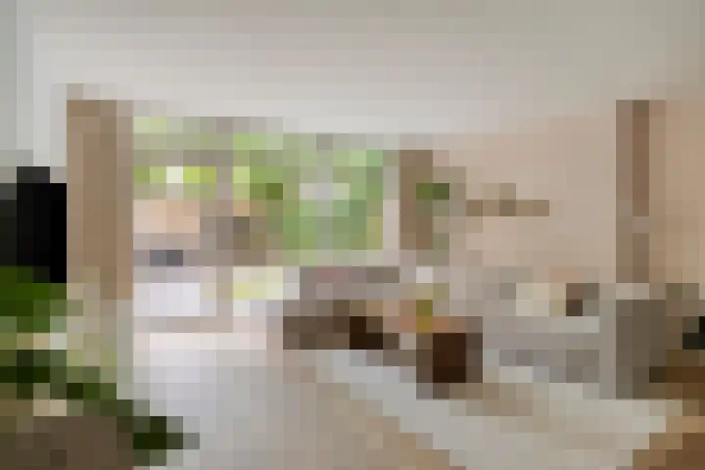 Schoenerstraat 11 's-Hertogenbosch thumbnail 5