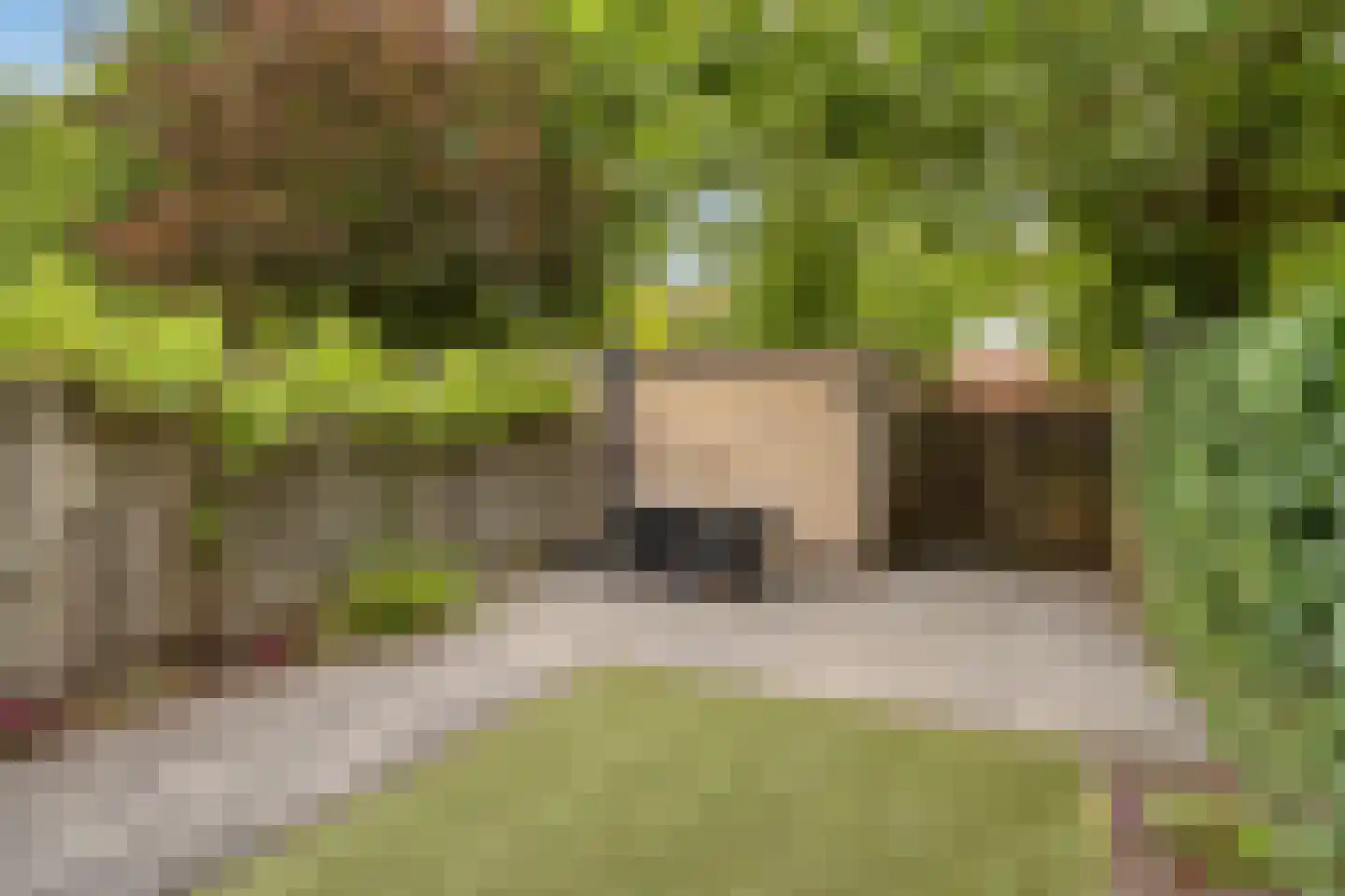 Schoenerstraat 11 's-Hertogenbosch thumbnail 7