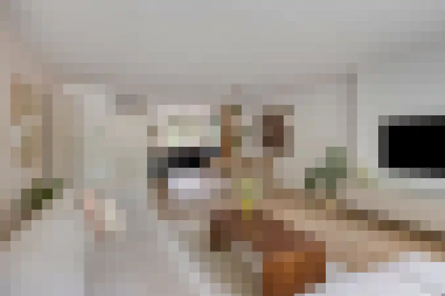 Schoenerstraat 11 's-Hertogenbosch thumbnail 8