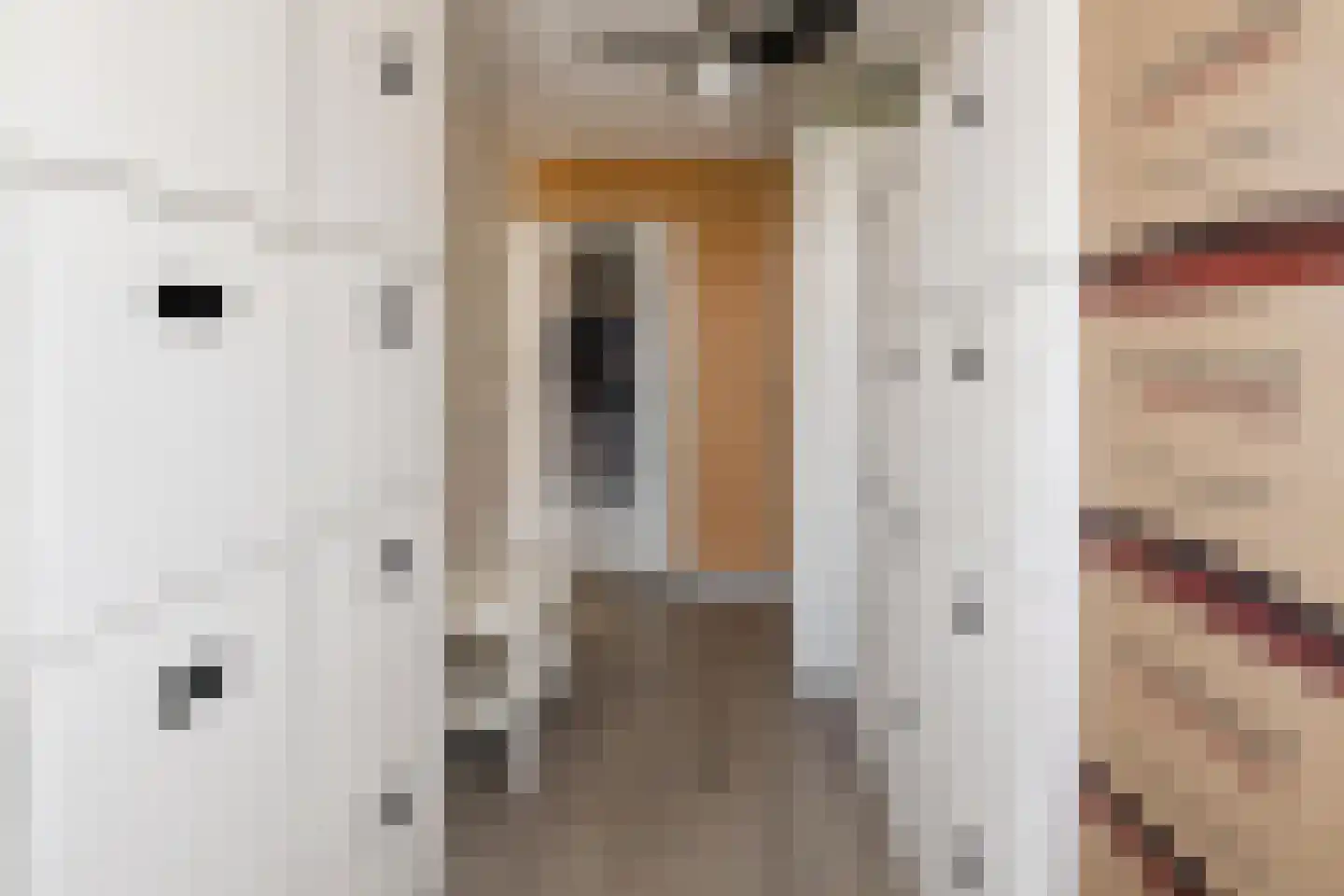 Schoenerstraat 16 Dordrecht thumbnail 18