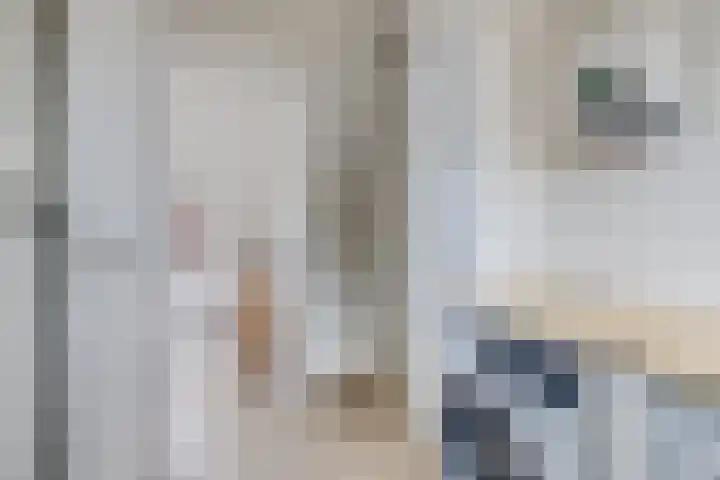 Schoenerstraat 16 Utrecht thumbnail 34