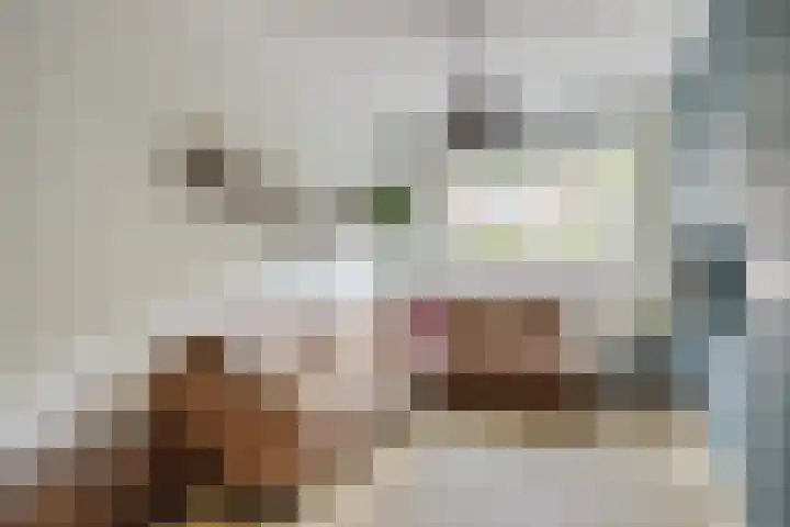 Schoenerstraat 16 Utrecht thumbnail 6