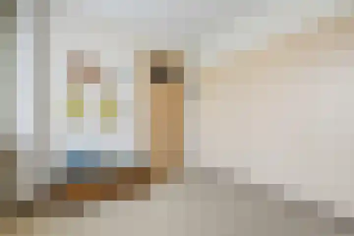 Schoenerstraat 20 Nieuw-Lekkerland thumbnail 14