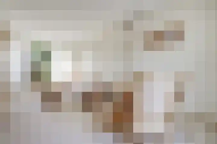 Schoenerstraat 20 Nieuw-Lekkerland thumbnail 7