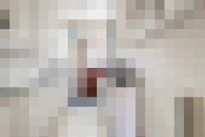 Schoenerstraat 20 Nieuw-Lekkerland thumbnail 9
