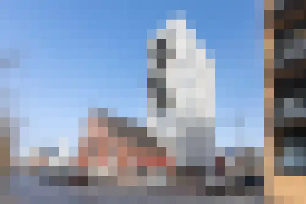 Schoenerstraat 23 Tilburg thumbnail 15