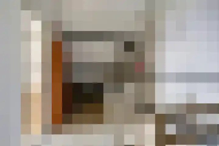 Schoenerstraat 24 Harlingen thumbnail 26