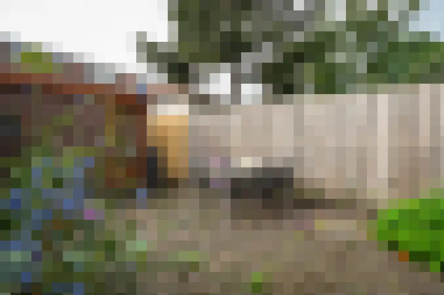 Schoenerstraat 38 Utrecht thumbnail 21