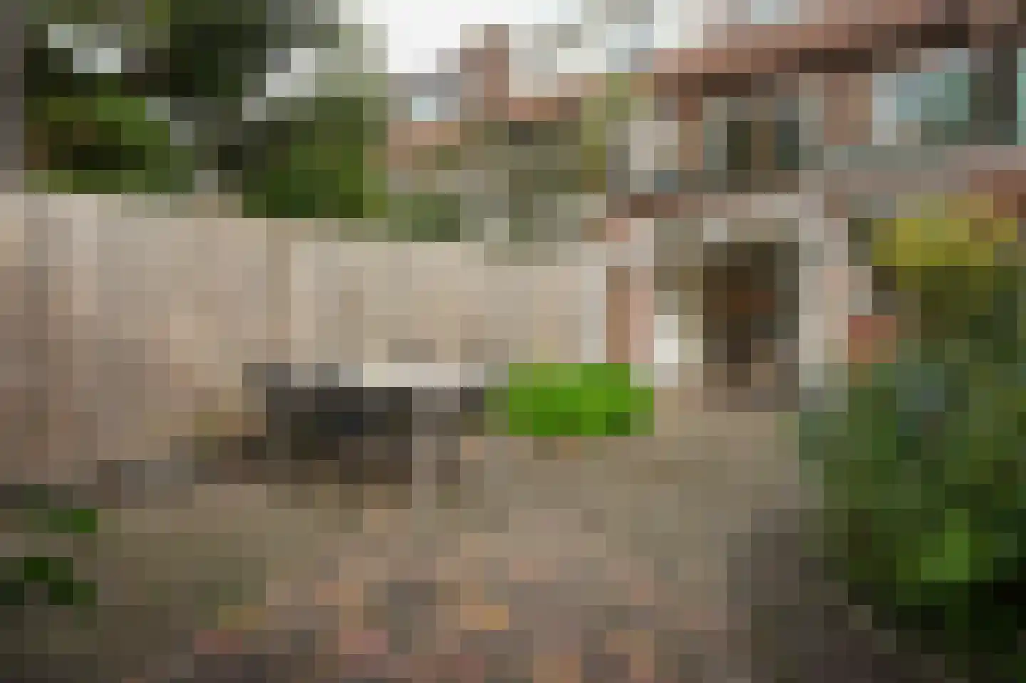 Schoenerstraat 38 Utrecht thumbnail 24