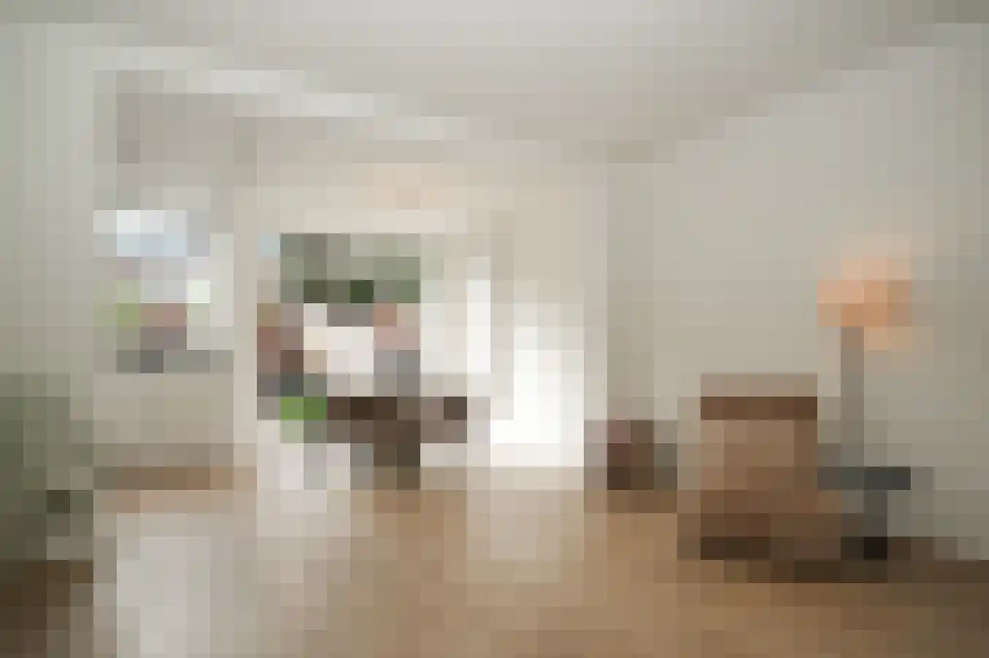Schoenerstraat 38 Utrecht thumbnail 28