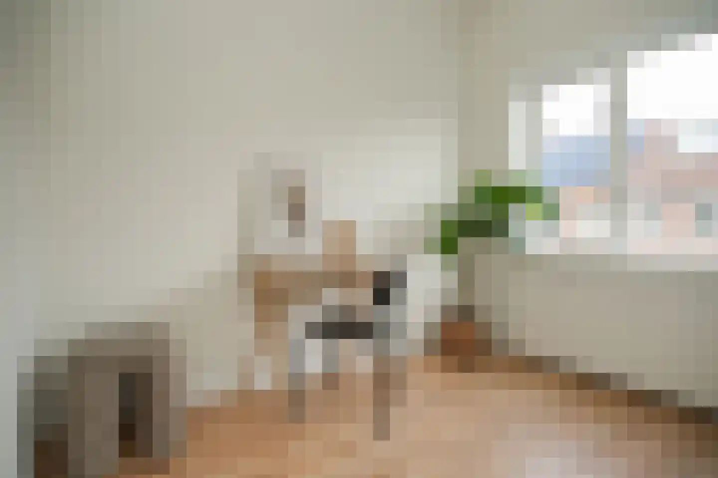 Schoenerstraat 38 Utrecht thumbnail 42