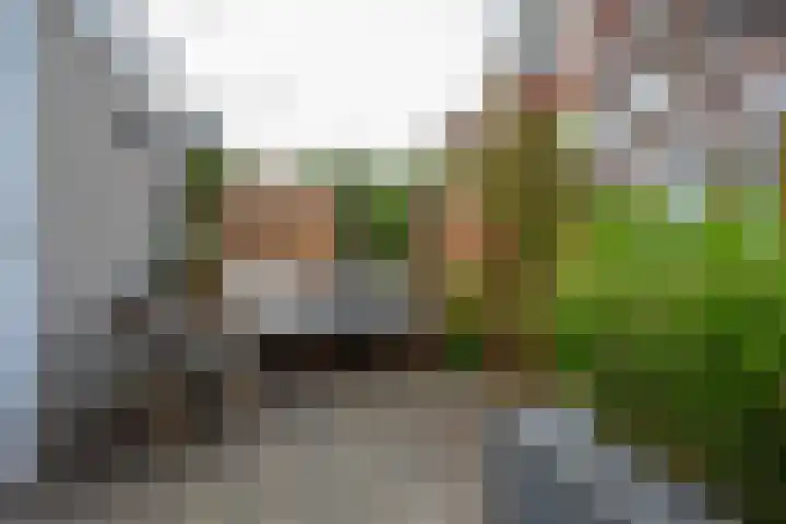 Schoenerstraat 57 Utrecht thumbnail 21
