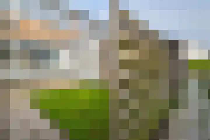 Schoenerstraat 75 Veendam thumbnail 33
