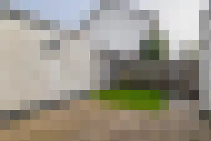 Schoenerstraat 75 Veendam thumbnail 34