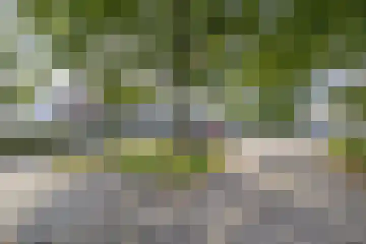 Schoenerstraat 75 Veendam thumbnail 39
