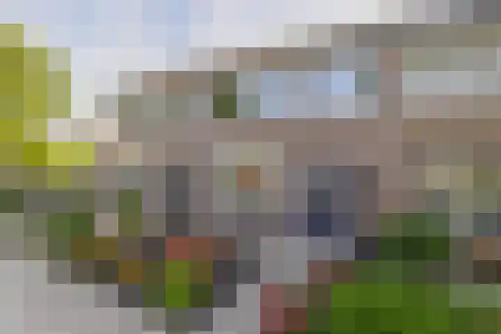 Schoenerstraat 75 Veendam thumbnail 7