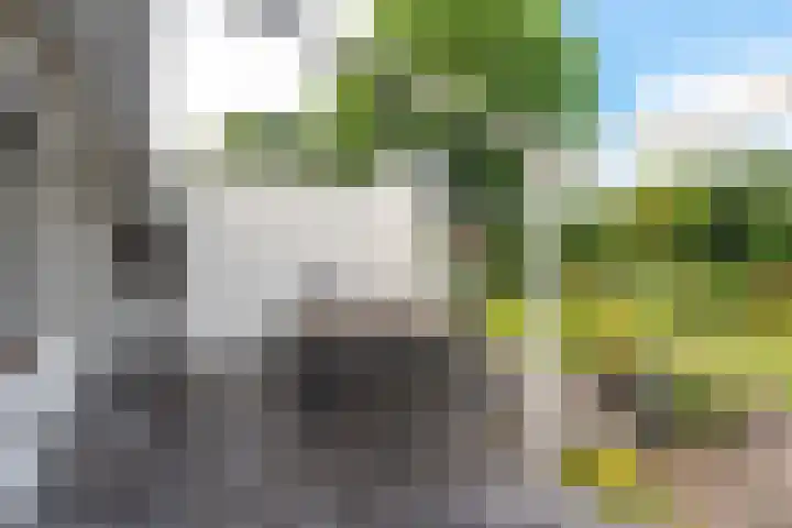 Schoenerstraat 77 Zaandam thumbnail 64