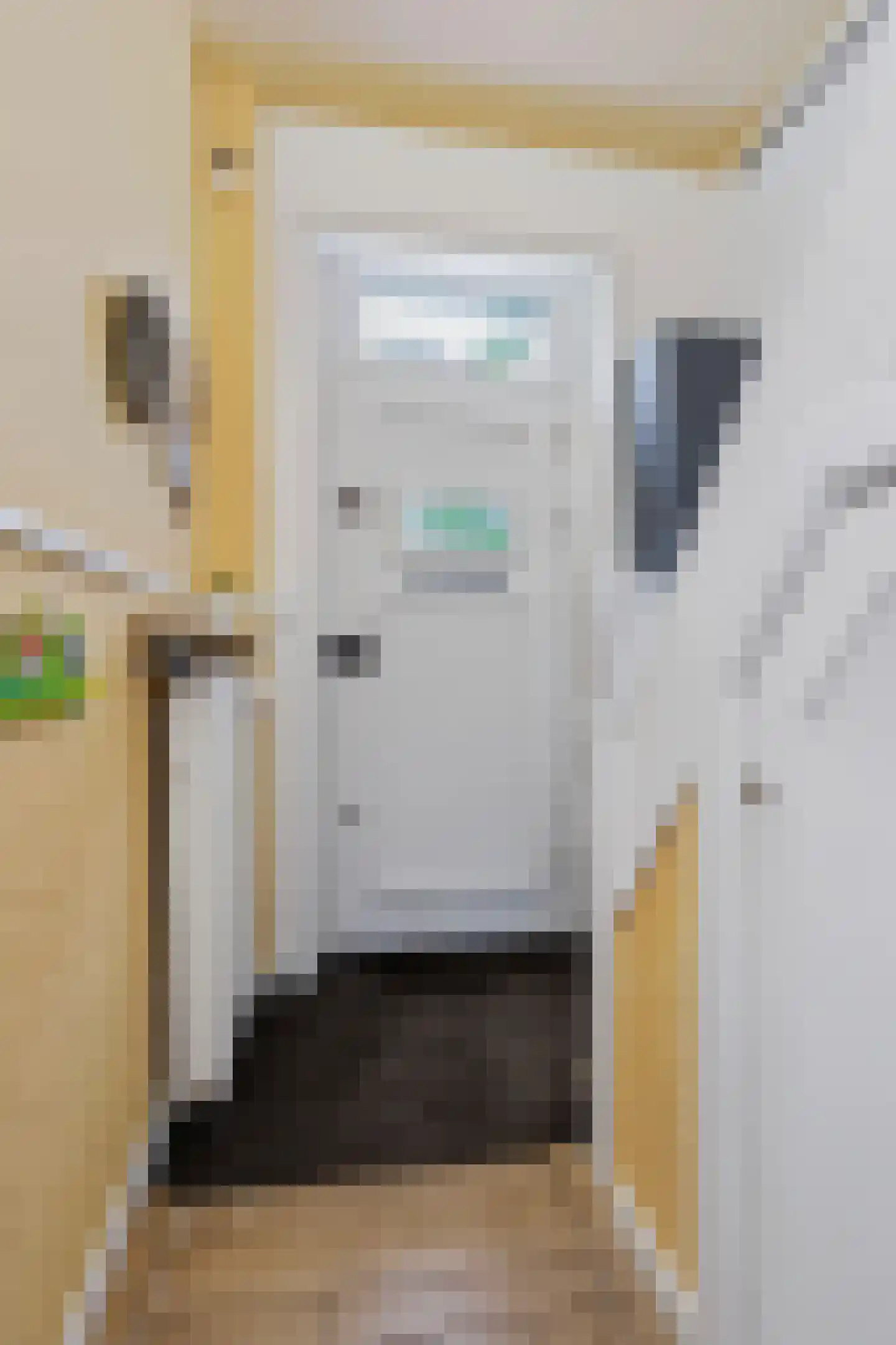 Schoenerstraat 83 Utrecht thumbnail 18
