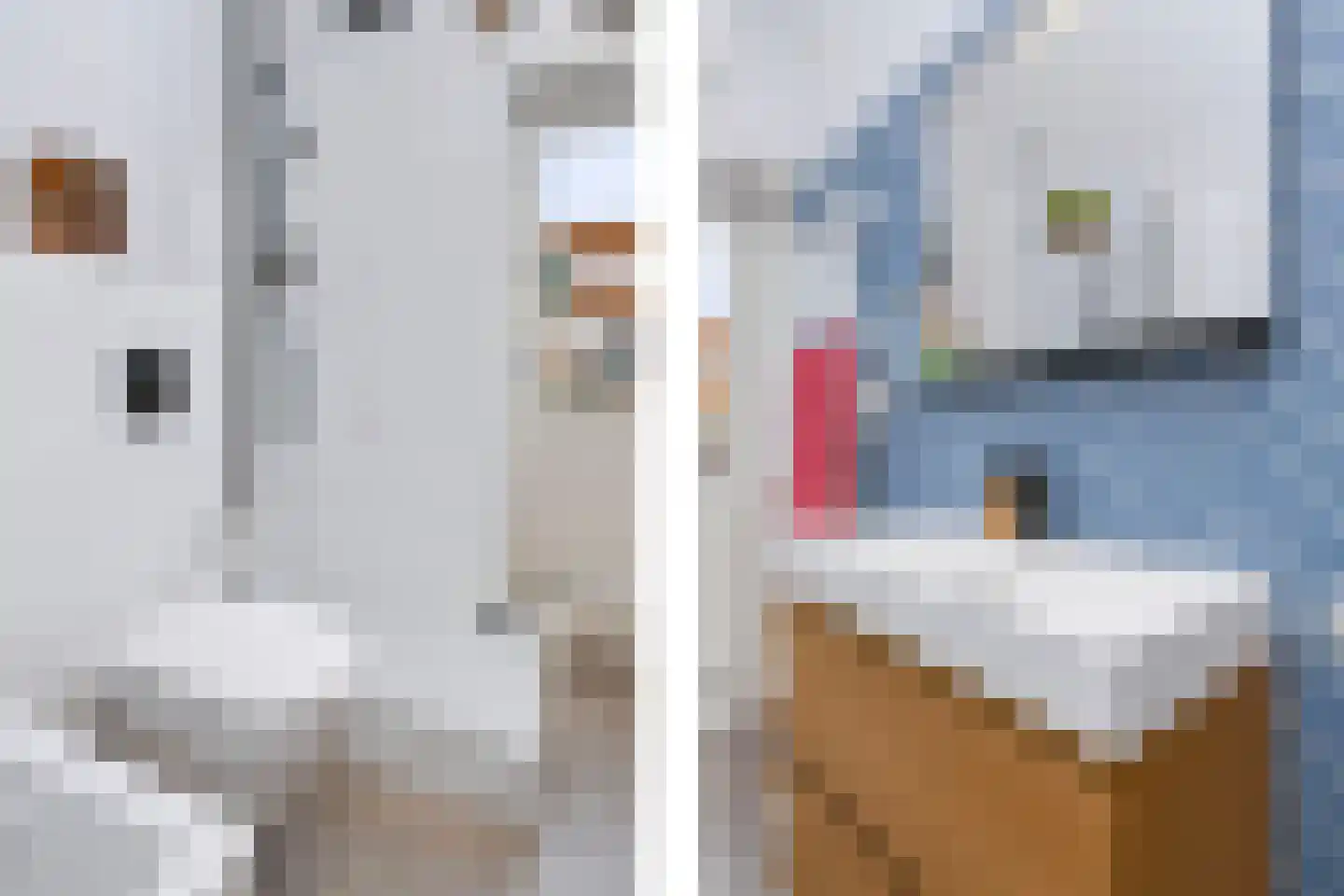 Schoenerstraat 83 Utrecht thumbnail 48