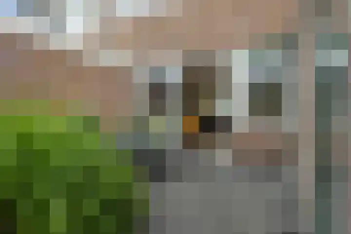 Schoenerstraat 89 Veendam thumbnail 22