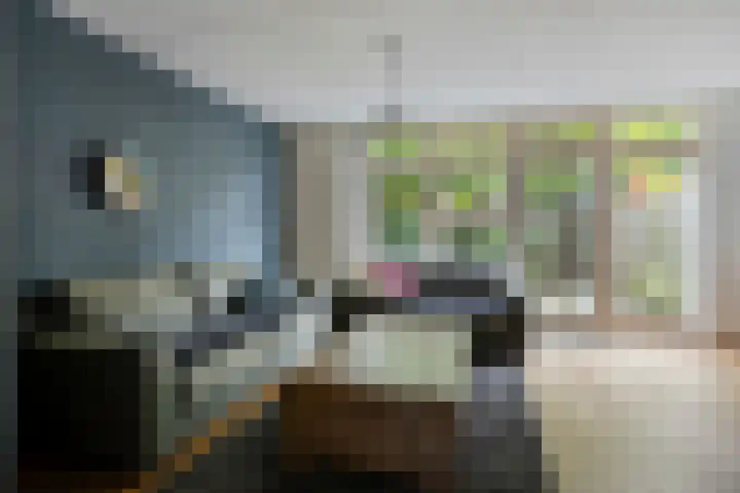 Schoenerstraat 9 's-Hertogenbosch thumbnail 10