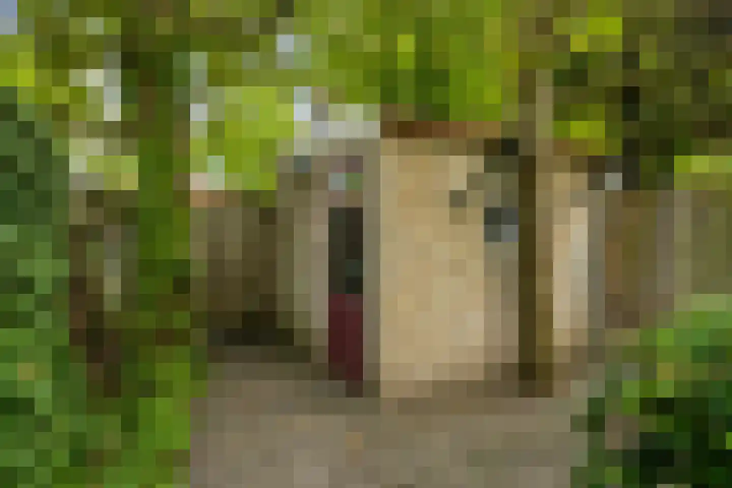 Schoenerstraat 9 's-Hertogenbosch thumbnail 13