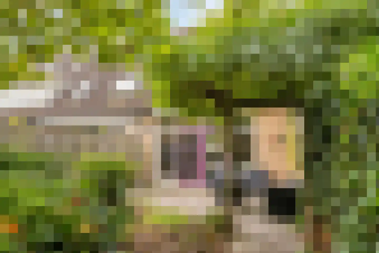 Schoenerstraat 9 's-Hertogenbosch thumbnail 14