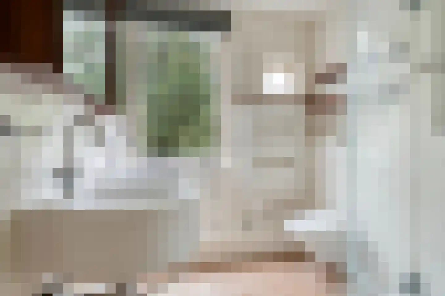 Schoenerstraat 9 's-Hertogenbosch thumbnail 21