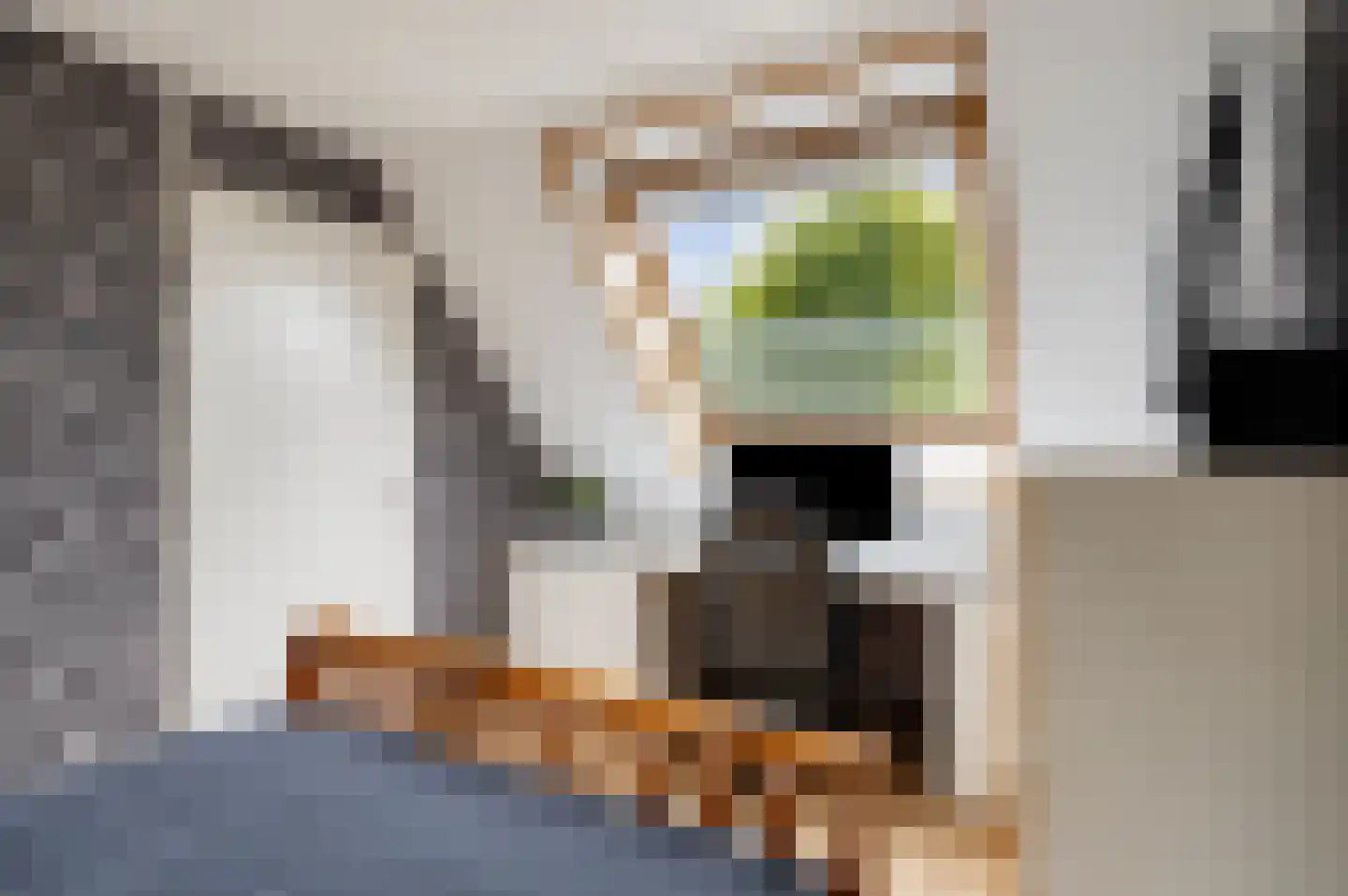 Schoenerstraat 9 's-Hertogenbosch thumbnail 24
