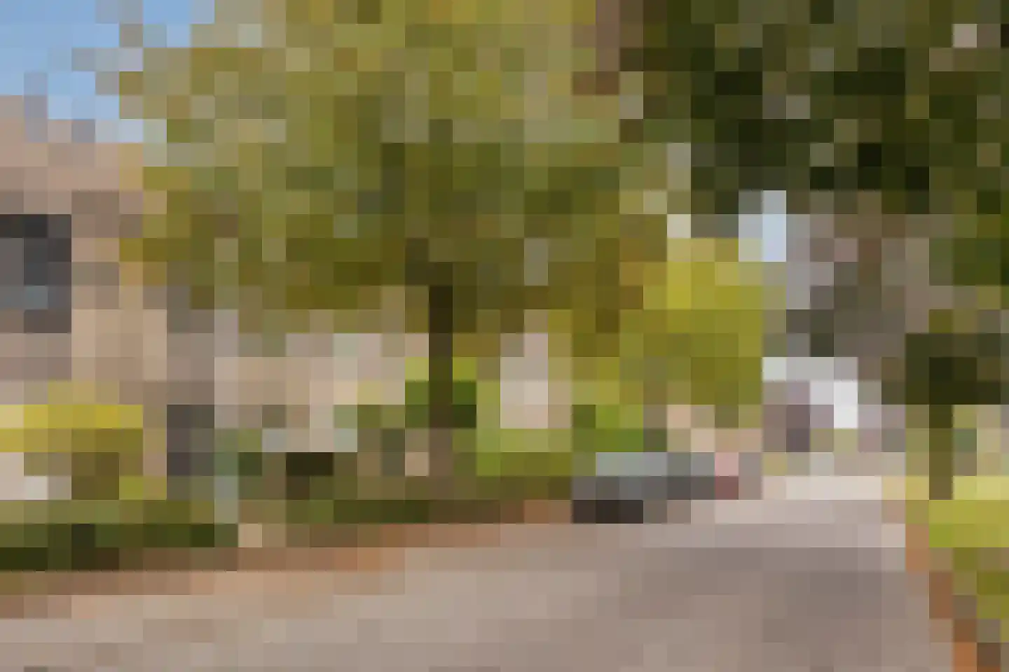 Schoenerstraat 9 's-Hertogenbosch thumbnail 26