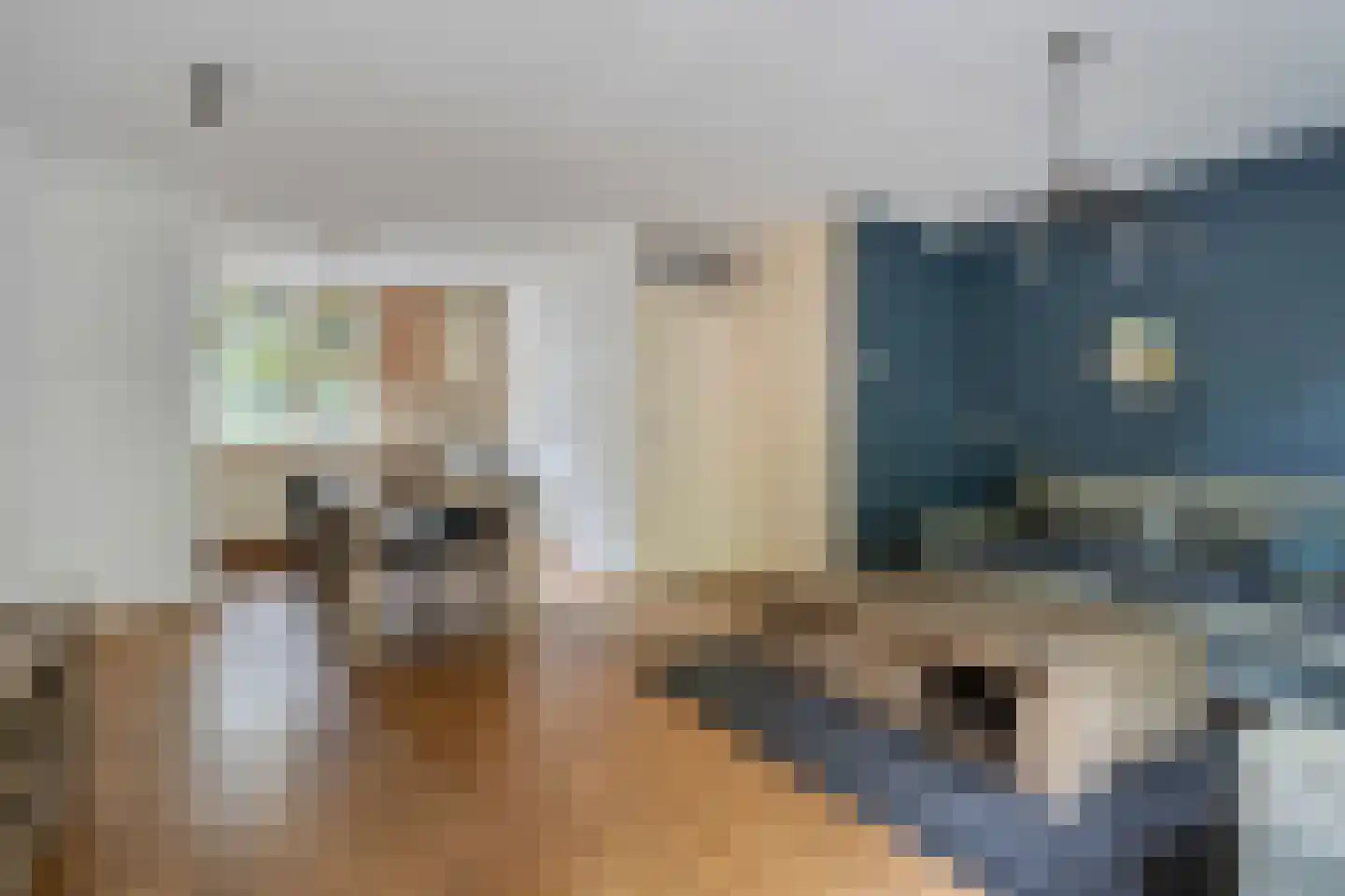 Schoenerstraat 9 's-Hertogenbosch thumbnail 4