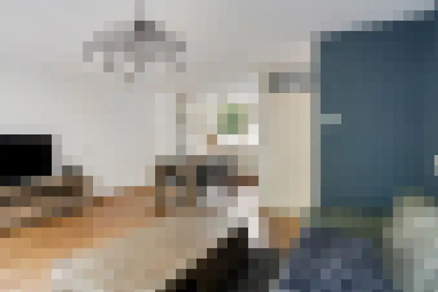 Schoenerstraat 9 's-Hertogenbosch thumbnail 5