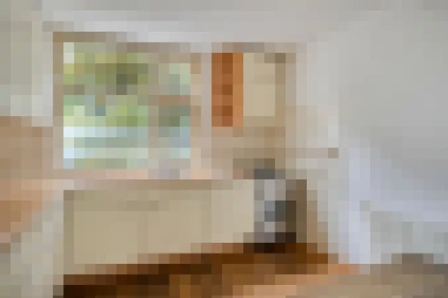 Schoenerstraat 9 's-Hertogenbosch thumbnail 8