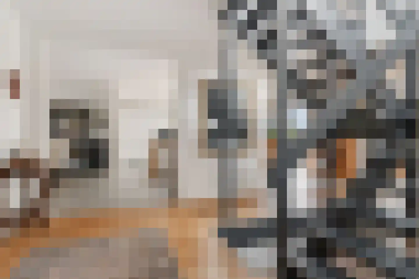 Schoenerwal 13 Leiden thumbnail 12