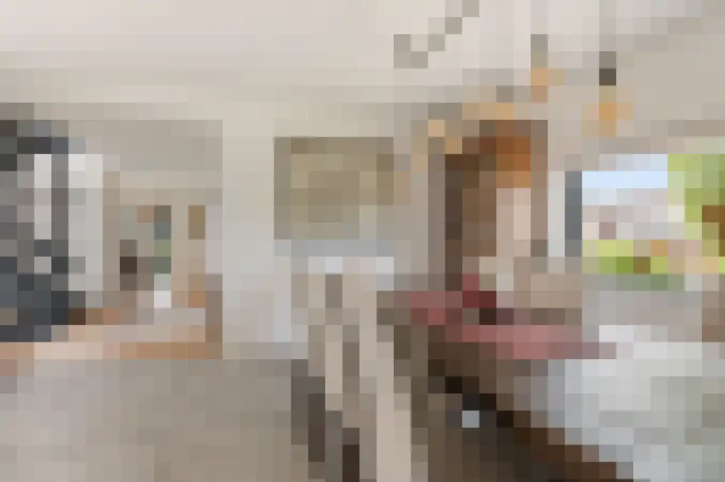 Schoenerwal 13 Leiden thumbnail 15