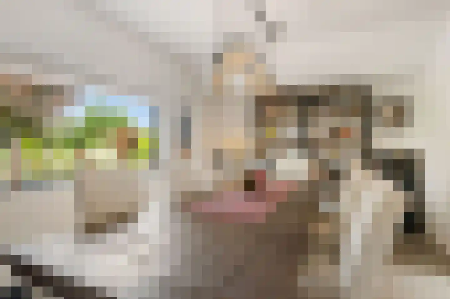 Schoenerwal 13 Leiden thumbnail 16