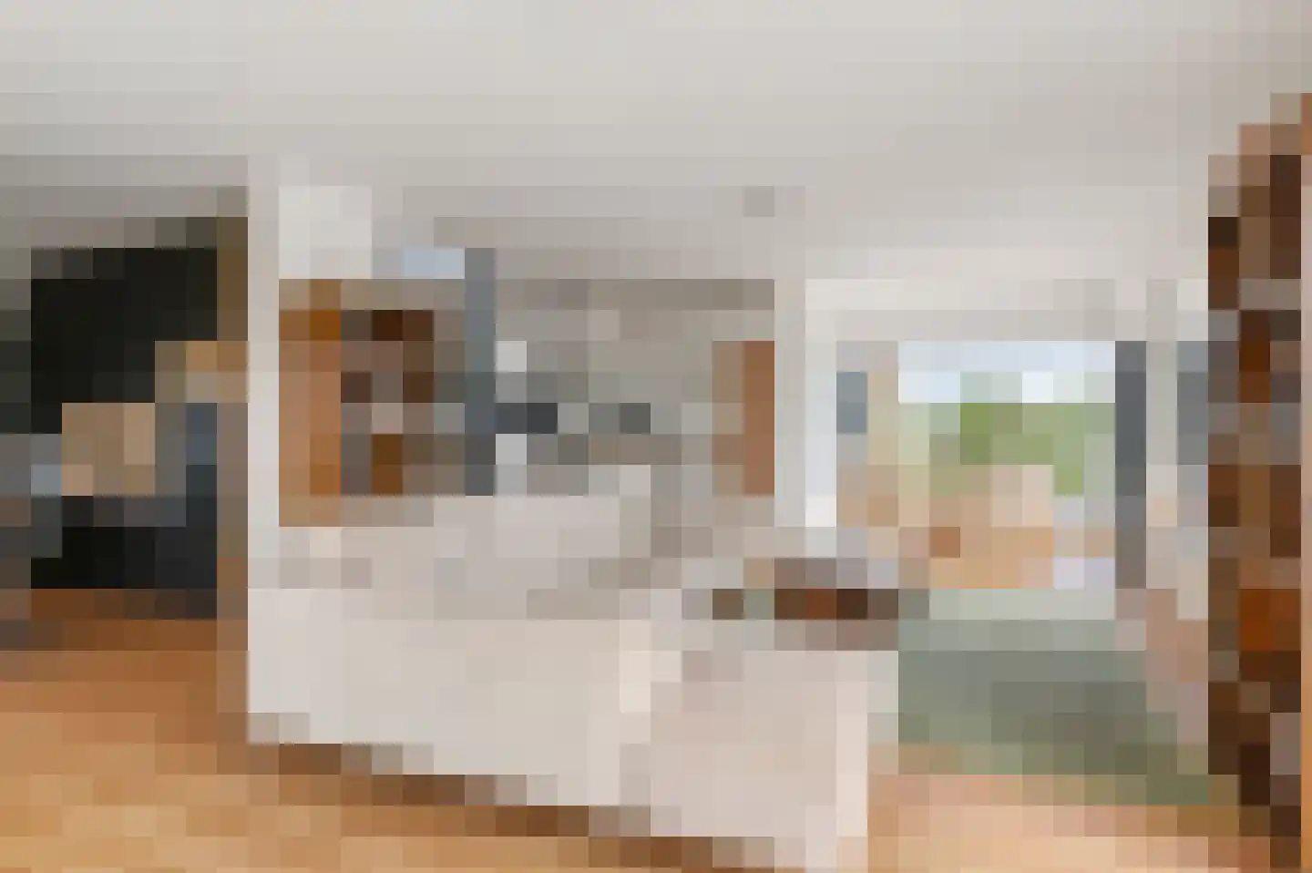 Schoenerwal 13 Leiden thumbnail 19