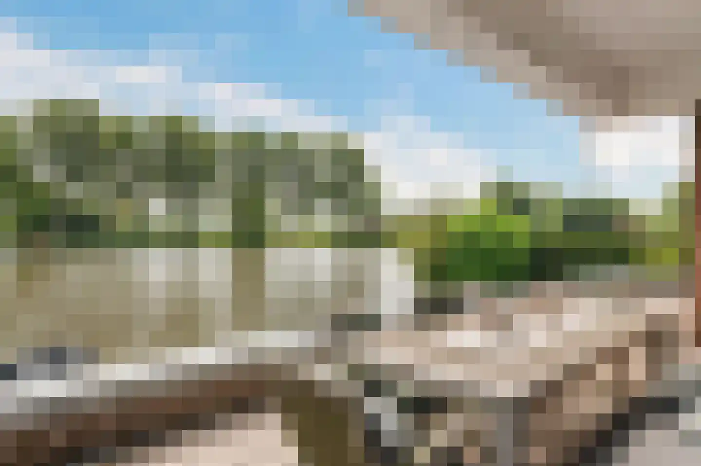 Schoenerwal 13 Leiden thumbnail 21