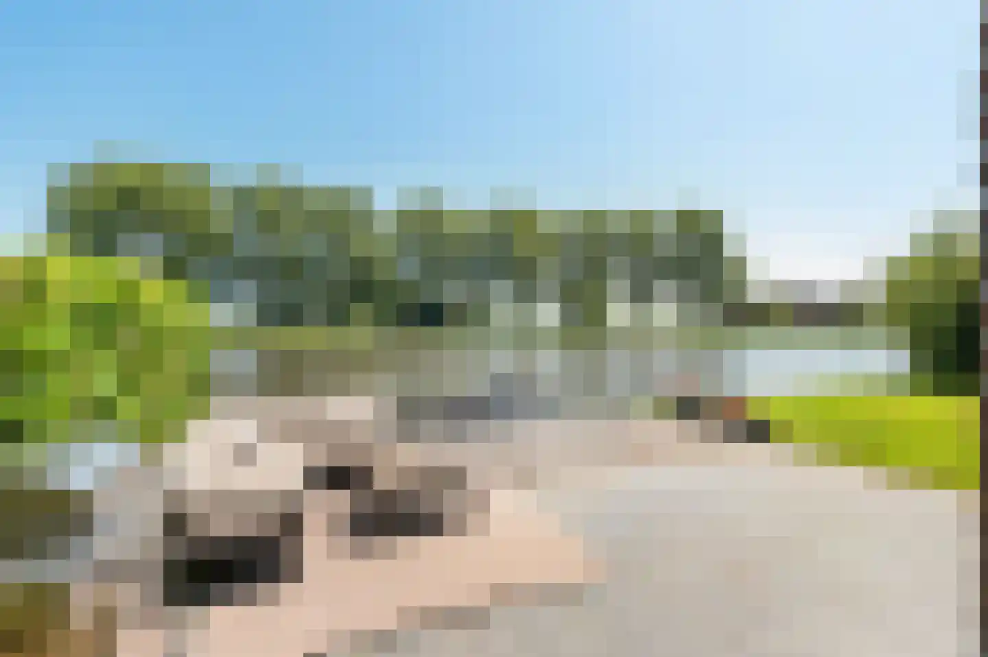 Schoenerwal 13 Leiden thumbnail 25
