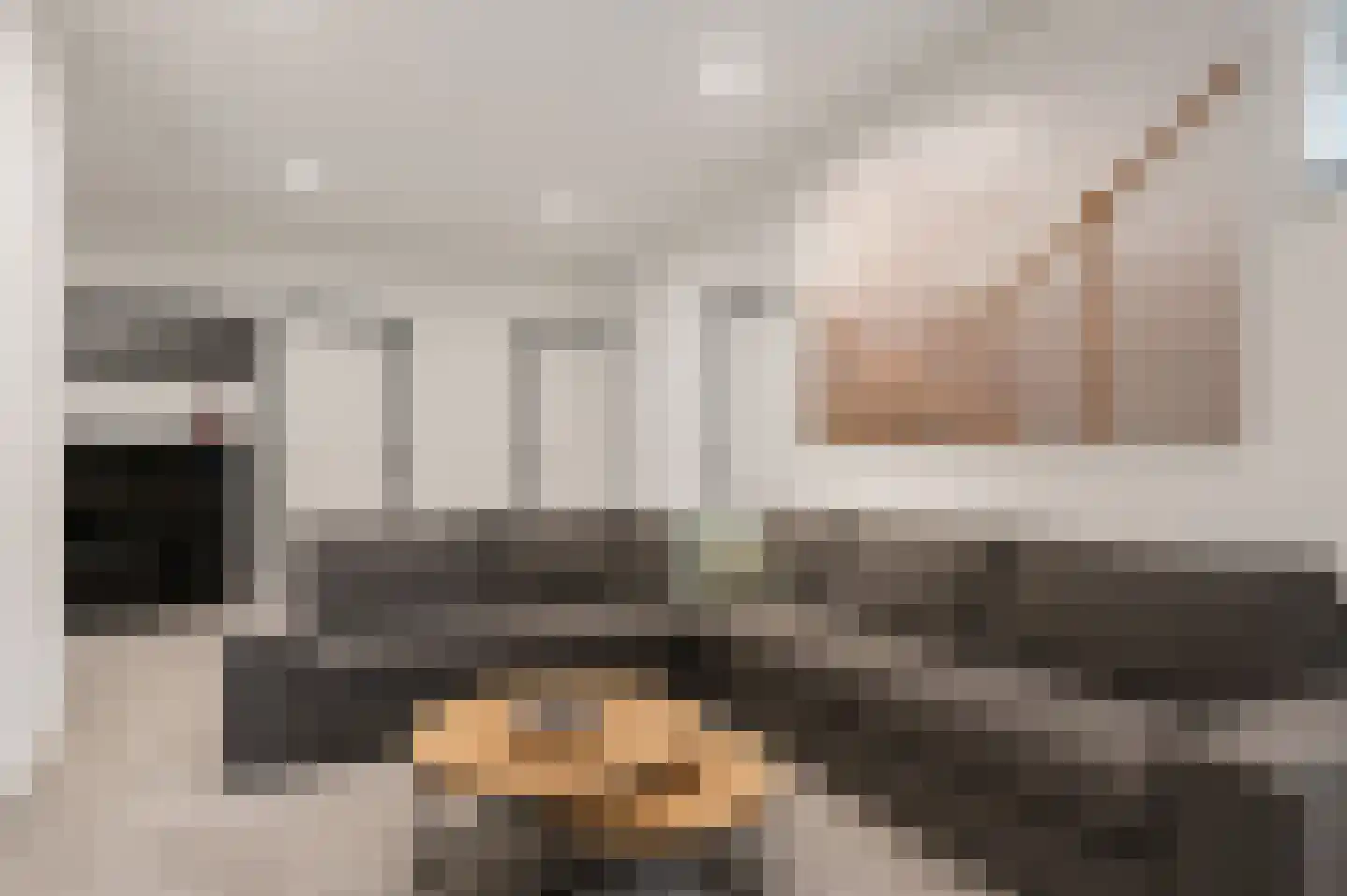 Schoenerwal 13 Leiden thumbnail 30