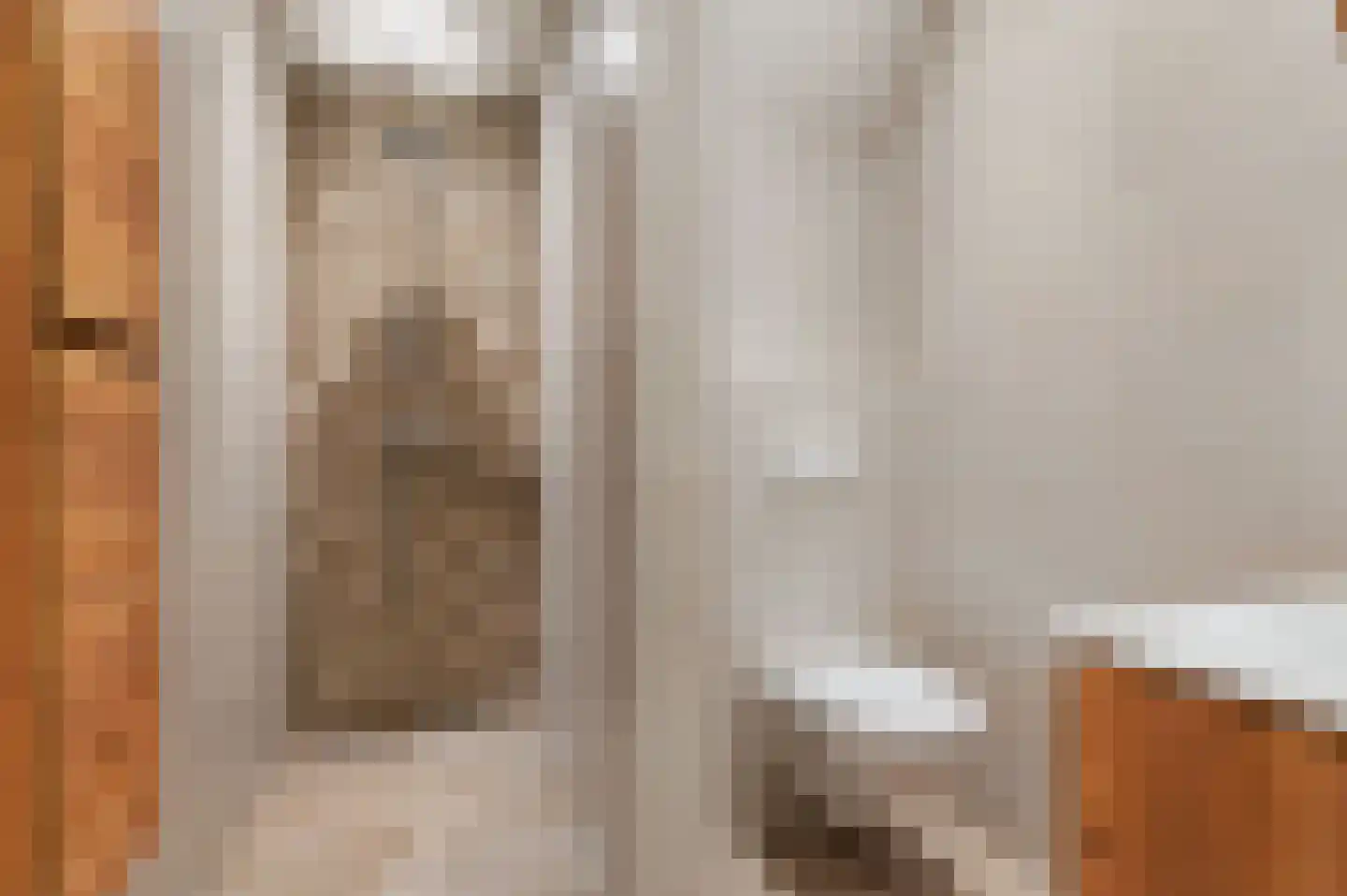 Schoenerwal 13 Leiden thumbnail 35